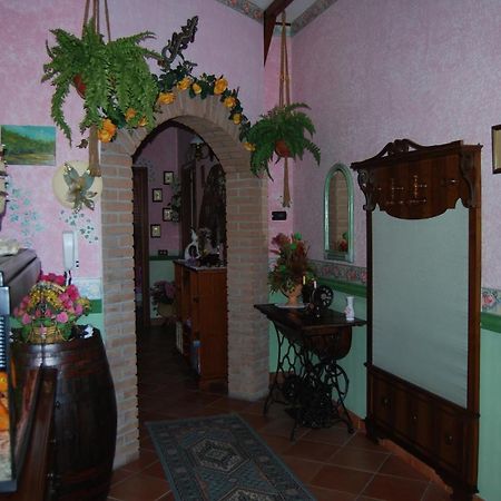 Sette Nani Bed and Breakfast Elmas Exteriör bild