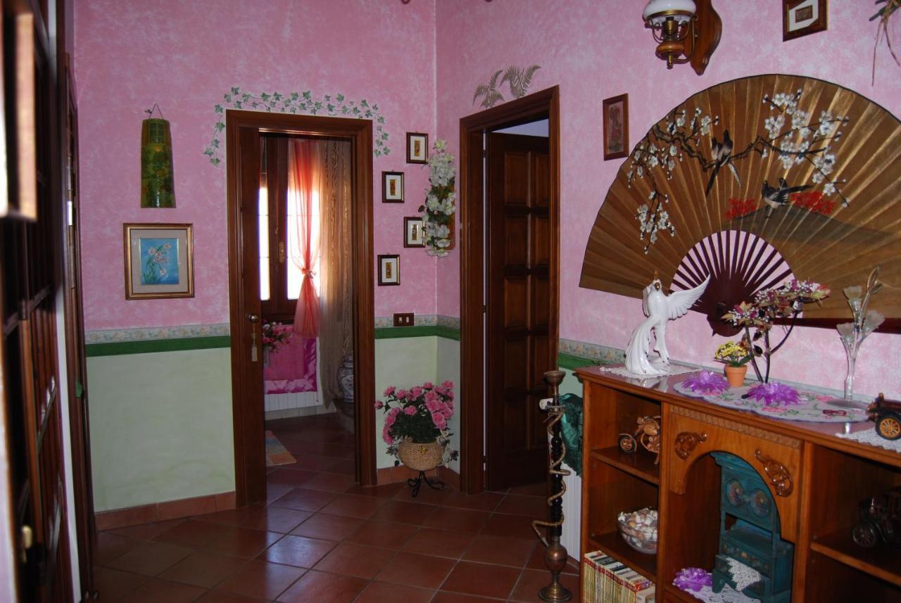Sette Nani Bed and Breakfast Elmas Exteriör bild